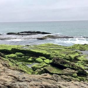 Meet your Posher, Erick